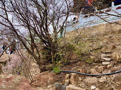 -棋盘山风景区