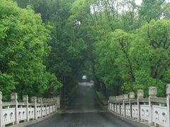 -同里国家湿地公园