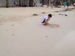 -白沙滩