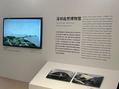 -深圳市当代艺术与城市规划馆