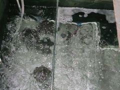 -老海陵·泰州菜(图书馆店)