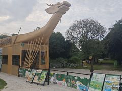 -长洲岛