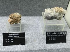 -甘肃地质博物馆