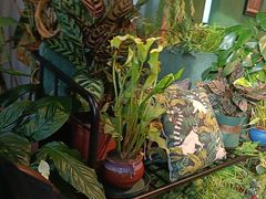 -Thai Basil罗勒叶泰式餐厅(时代天街店)