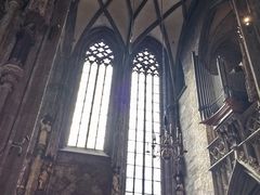 -斯蒂芬主教座堂(Stephansdom)