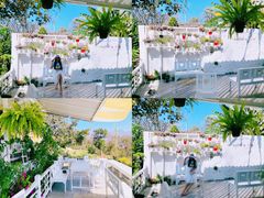 -黄色小屋