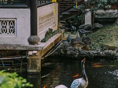 -北园酒家(小北路店)