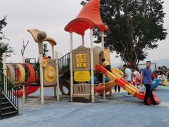 -铁山坪森林公园