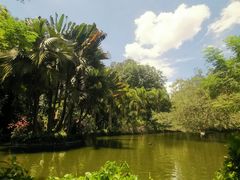 -海南热带野生动植物园