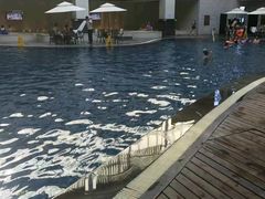 -盘锦红海温泉乐园