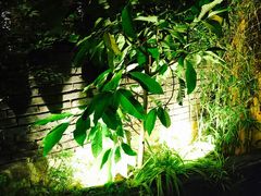 -滇藏石锅宴(崇仁巷老店)