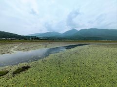 -腾冲北海湿地