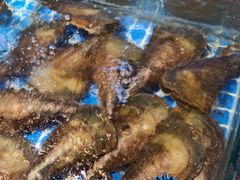 -吉源大排档·鱼生·海鲜(烧烤彩印厂店)