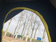 -天津武清北运河郊野公园房车露营地