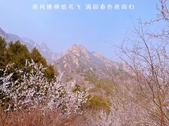 -北京凤凰岭