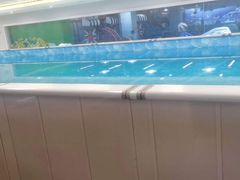 -水贝乐国际水育儿童游泳中心(新业广场店)