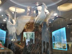 -下渚湖国家湿地公园科普馆