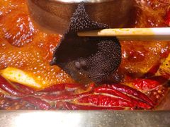 -蜀九香火锅(玉林店)
