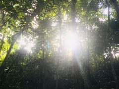 -七仙岭温泉国家森林公园