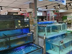 -奥士凯物美(新兴里店)