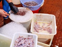 -御唐府海珊瑚主题餐厅