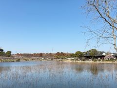 -上海海湾国家森林公园