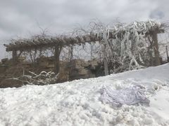 -龙达温泉生态城