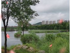 -前关湿地公园