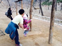 -北京西山国家森林公园