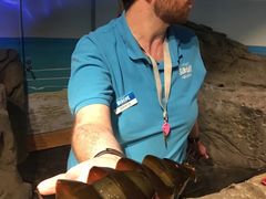 -悉尼海洋生物水族馆