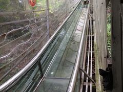 -南丹山森林王国