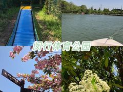 -顾村公园