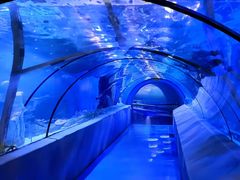 -太平洋海底世界