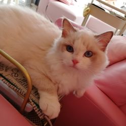-Beauty Nails 美甲美睫皮肤管理