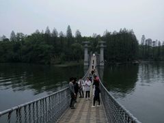 -东湖落雁景区