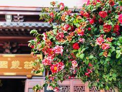 -厦门鸿山寺