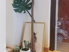 -小鱼泡芙