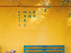 -蔼若春.传承三十年云南菜(金碧公园店)