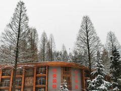 -武陵山森林公园