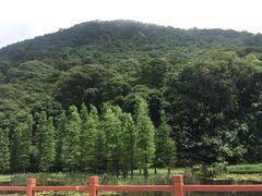 -广州市石门国家森林公园
