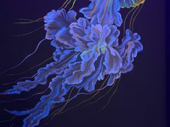 -苏州海洋馆