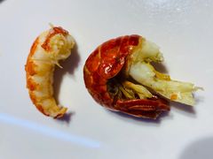 -杨氏青龙虾·羊蝎子(托乐嘉店)