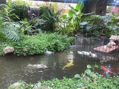 -凯德广场(学府店)