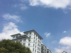 -老中和羊肉馆