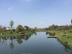 -上海多利农业发展有限公司