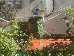 -丽江花间堂·隐泉院