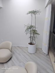 -HEYAN荷妍专业脱毛连锁机构
