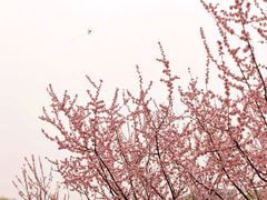 -北京奥林匹克公园