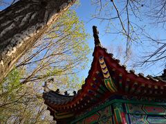 -吉林市朱雀山国家森林公园
