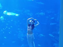 -太平洋海底世界